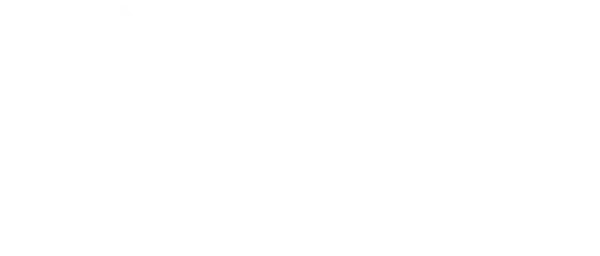 Rakoo Logo